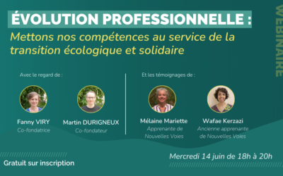 Webinaire évolution professionnelle – Institut Transitions