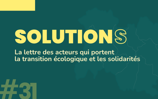 Lettre Solutions novembre 2024