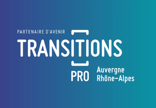 newsletter transitions pro