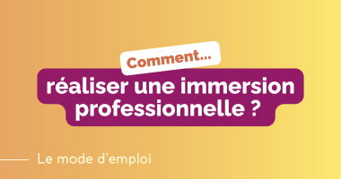 Mode d’emploi – Immersion professionnelle (PMSMP)